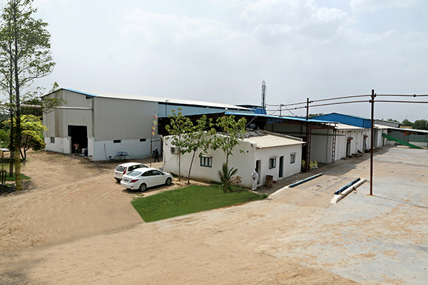 Sesame Oil Manufacturer in India, Nigeria, Egypt, South Africa