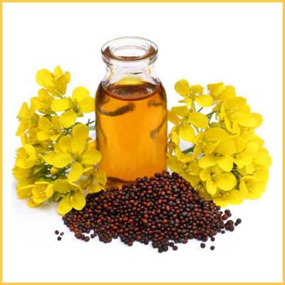 Mustard Oil in Ahmedabad, सरसों का तेल, अहमदाबाद